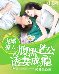 宠婚撩人:腹黑老公诱妻成瘾