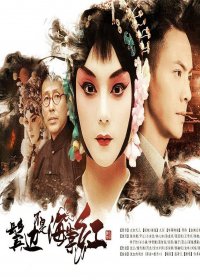 鬓边不是海棠红(鬓边不是海棠红原著小说)